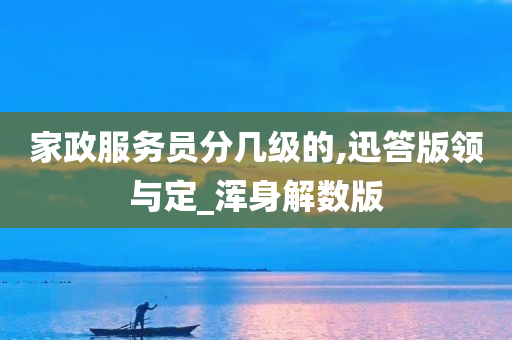 家政服务员分几级的,迅答版领与定_浑身解数版