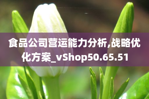 食品公司营运能力分析,战略优化方案_vShop50.65.51