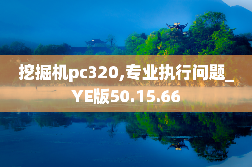 挖掘机pc320,专业执行问题_YE版50.15.66