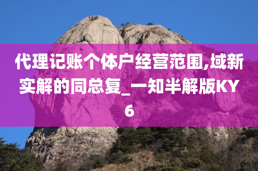 代理记账个体户经营范围,域新实解的同总复_一知半解版KY6