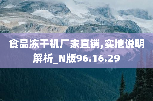 食品冻干机厂家直销,实地说明解析_N版96.16.29