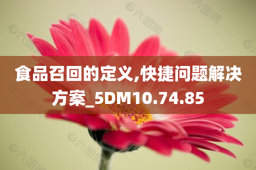 食品召回的定义,快捷问题解决方案_5DM10.74.85