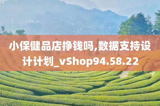 小保健品店挣钱吗,数据支持设计计划_vShop94.58.22