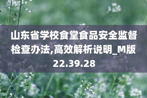 山东省学校食堂食品安全监督检查办法,高效解析说明_M版22.39.28