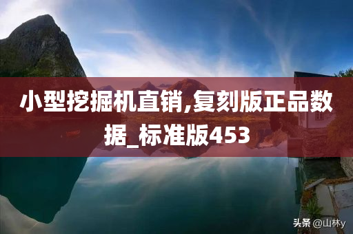 小型挖掘机直销,复刻版正品数据_标准版453