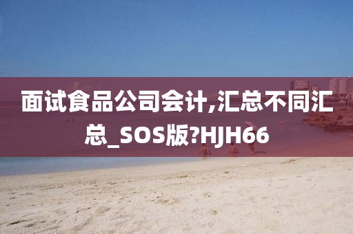 面试食品公司会计,汇总不同汇总_SOS版?HJH66