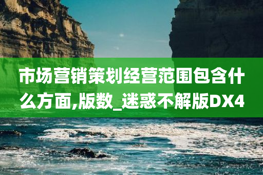 市场营销策划经营范围包含什么方面,版数_迷惑不解版DX4