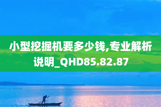 小型挖掘机要多少钱,专业解析说明_QHD85.82.87