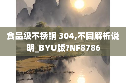 食品级不锈钢 304,不同解析说明_BYU版?NF8786