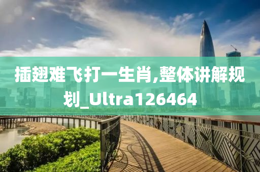 插翅难飞打一生肖,整体讲解规划_Ultra126464