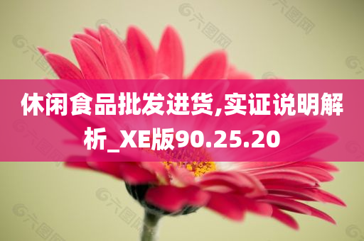 休闲食品批发进货,实证说明解析_XE版90.25.20