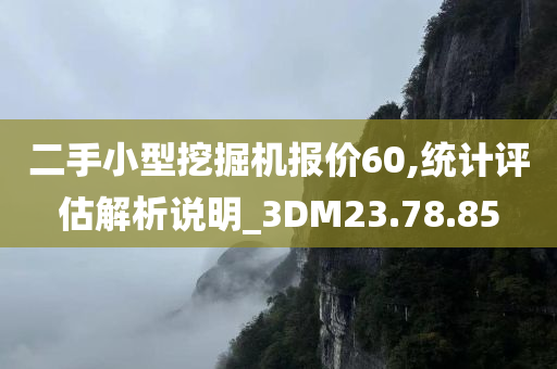 二手小型挖掘机报价60,统计评估解析说明_3DM23.78.85