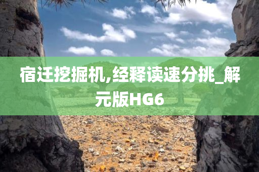 宿迁挖掘机,经释读速分挑_解元版HG6