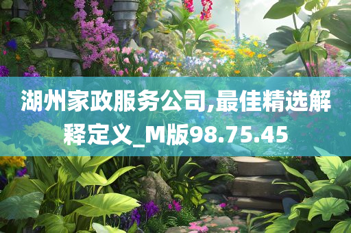 湖州家政服务公司,最佳精选解释定义_M版98.75.45