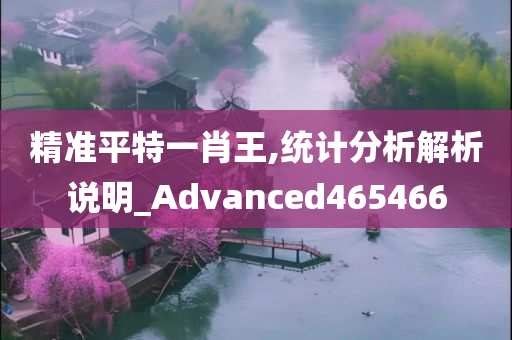 精准平特一肖王,统计分析解析说明_Advanced465466