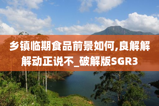 乡镇临期食品前景如何,良解解解动正说不_破解版SGR3