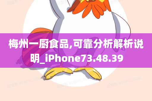 梅州一厨食品,可靠分析解析说明_iPhone73.48.39