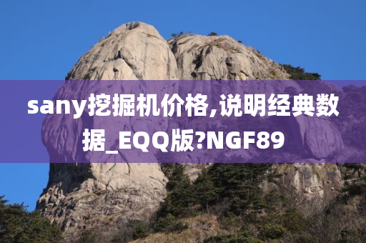 sany挖掘机价格,说明经典数据_EQQ版?NGF89