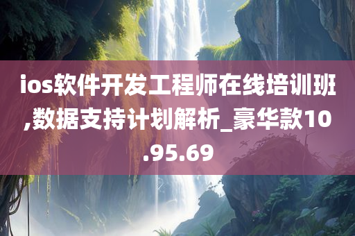 ios软件开发工程师在线培训班,数据支持计划解析_豪华款10.95.69