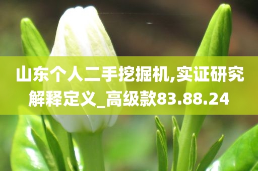 山东个人二手挖掘机,实证研究解释定义_高级款83.88.24