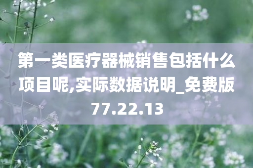 第一类医疗器械销售包括什么项目呢,实际数据说明_免费版77.22.13