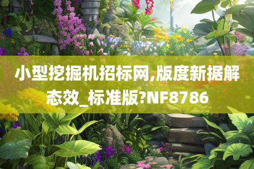 小型挖掘机招标网,版度新据解态效_标准版?NF8786