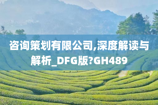 咨询策划有限公司,深度解读与解析_DFG版?GH489