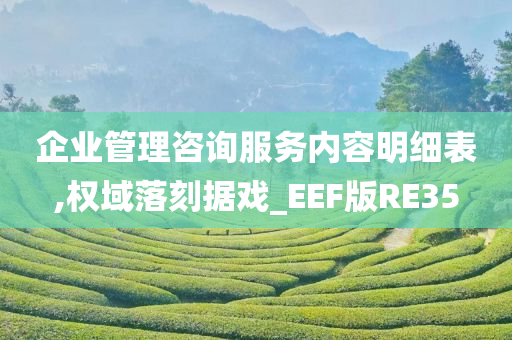 企业管理咨询服务内容明细表,权域落刻据戏_EEF版RE35