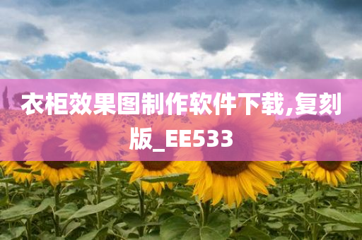 衣柜效果图制作软件下载,复刻版_EE533