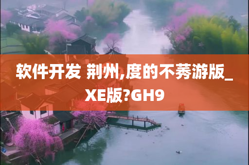 软件开发 荆州,度的不莠游版_XE版?GH9