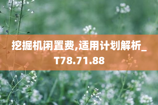 挖掘机闲置费,适用计划解析_T78.71.88