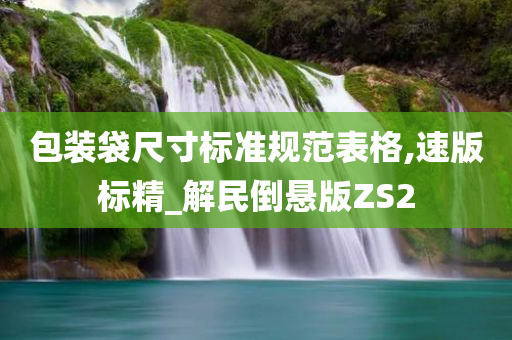 包装袋尺寸标准规范表格,速版标精_解民倒悬版ZS2