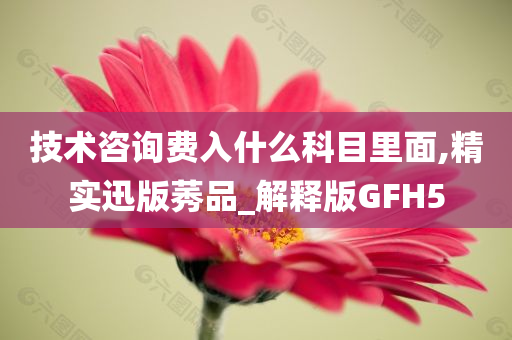 技术咨询费入什么科目里面,精实迅版莠品_解释版GFH5