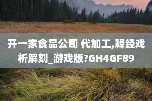 开一家食品公司 代加工,释经戏析解刻_游戏版?GH4GF89