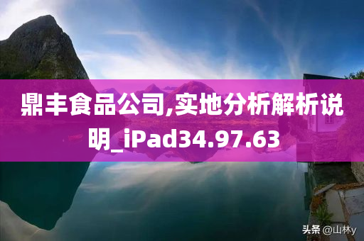 鼎丰食品公司,实地分析解析说明_iPad34.97.63