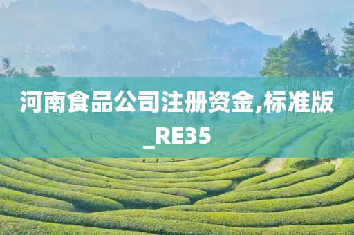 河南食品公司注册资金,标准版_RE35