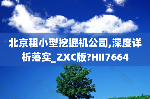 北京租小型挖掘机公司,深度详析落实_ZXC版?HII7664