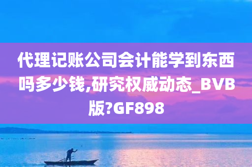 代理记账公司会计能学到东西吗多少钱,研究权威动态_BVB版?GF898