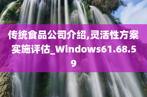 传统食品公司介绍,灵活性方案实施评估_Windows61.68.59