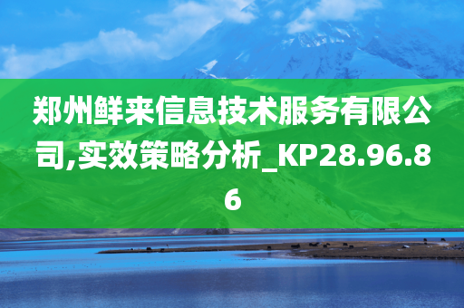 郑州鲜来信息技术服务有限公司,实效策略分析_KP28.96.86