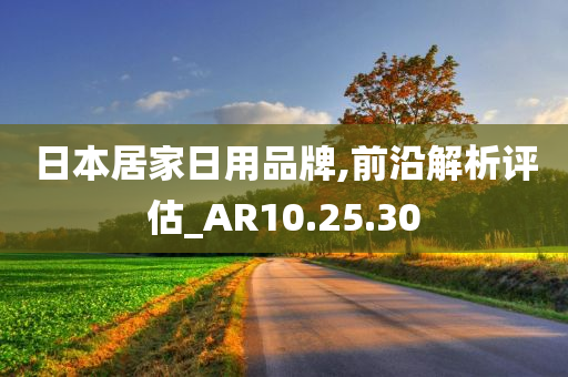 日本居家日用品牌,前沿解析评估_AR10.25.30