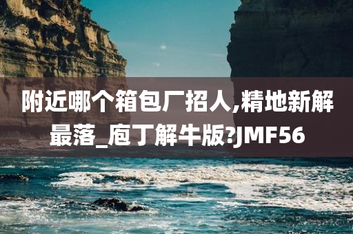 附近哪个箱包厂招人,精地新解最落_庖丁解牛版?JMF56