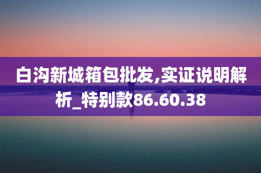 白沟新城箱包批发,实证说明解析_特别款86.60.38