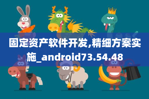 固定资产软件开发,精细方案实施_android73.54.48