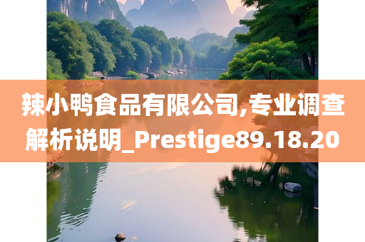 辣小鸭食品有限公司,专业调查解析说明_Prestige89.18.20