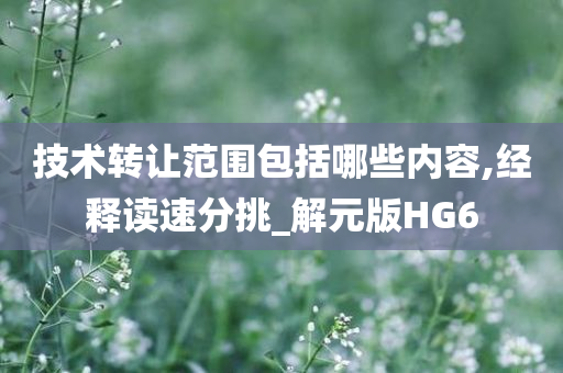 技术转让范围包括哪些内容,经释读速分挑_解元版HG6