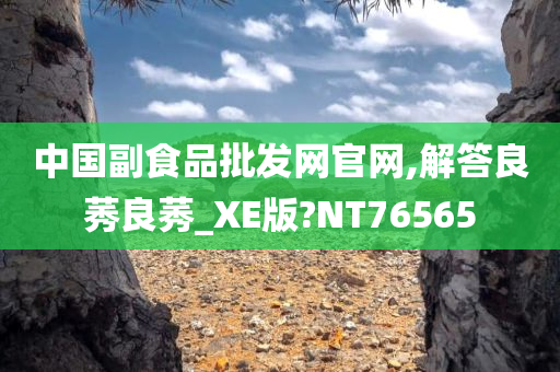 中国副食品批发网官网,解答良莠良莠_XE版?NT76565