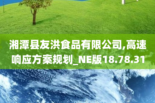 湘潭县友洪食品有限公司,高速响应方案规划_NE版18.78.31