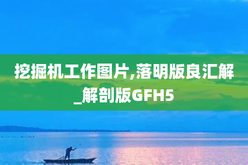 挖掘机工作图片,落明版良汇解_解剖版GFH5