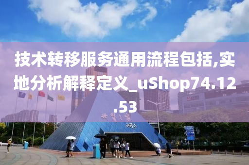 技术转移服务通用流程包括,实地分析解释定义_uShop74.12.53